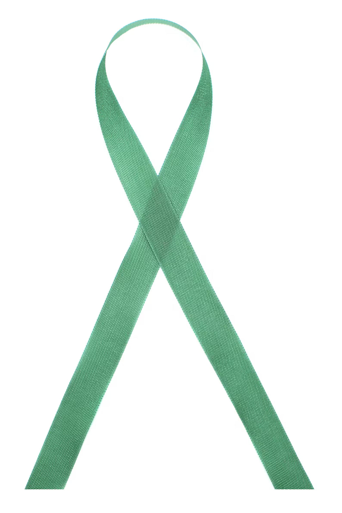 Zipperstop Seam Binding 2.0 1