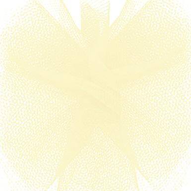 Tulle
